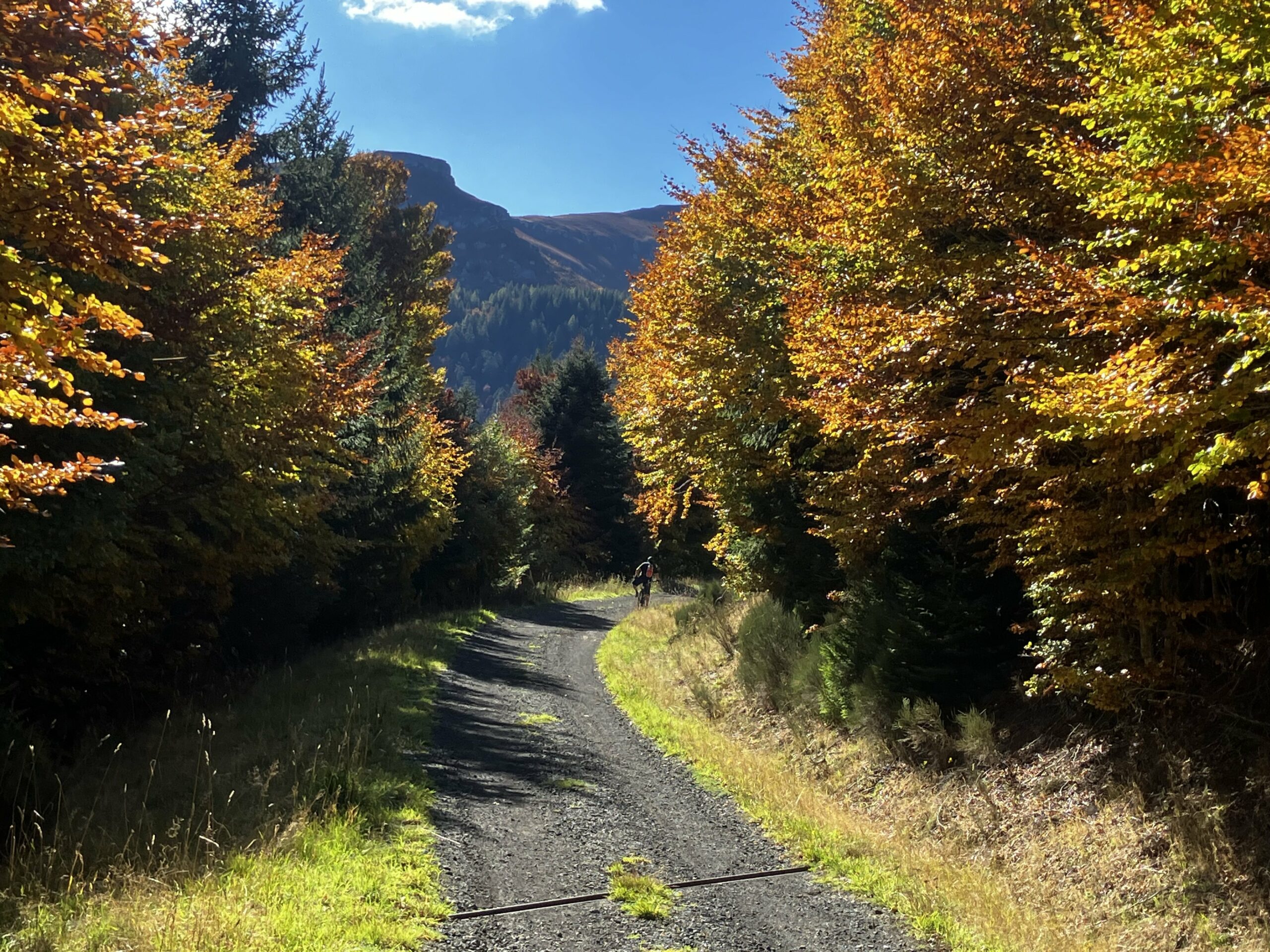 Automne