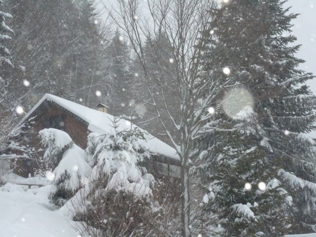 Tempête de neige !