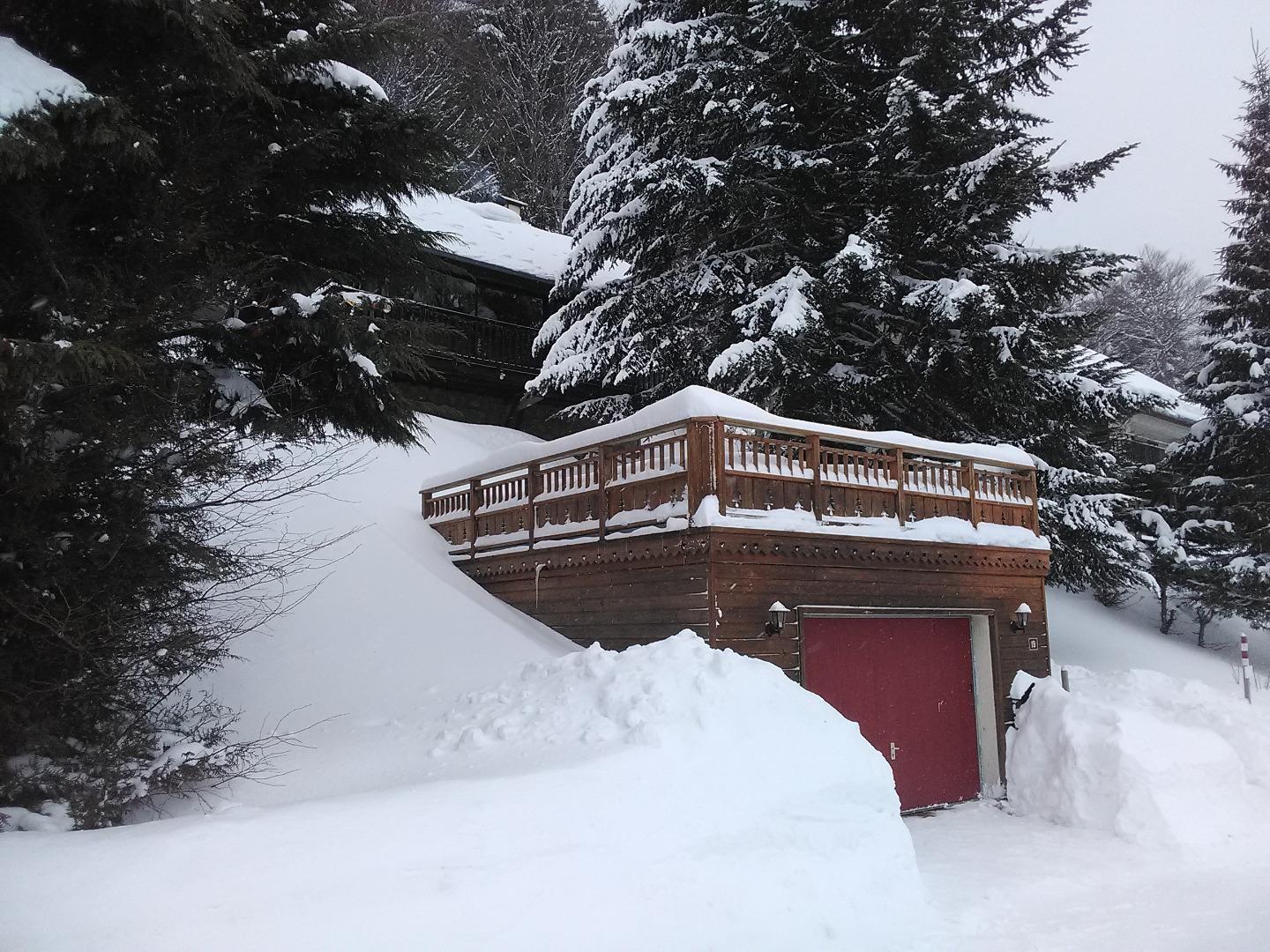 Sous la neige.