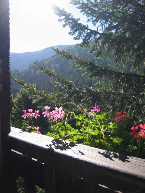 Premiers rayons de soleil le matin,dans la véranda.