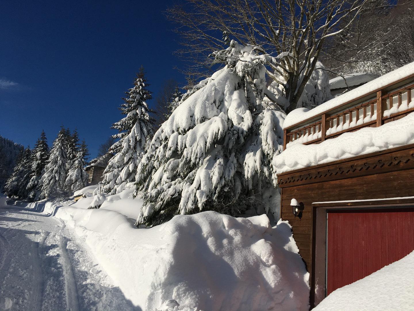 Ambiance hivernale